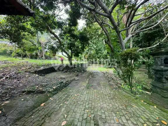L-1121 Green Oasis In Padonan - 18.5 Are Near Canggu Hotspots