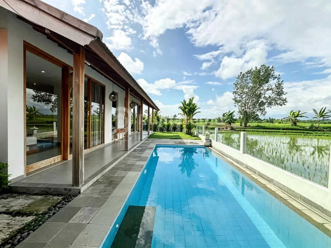 Ready For Rent 3 B R Villa In Seseh Canggu Bali