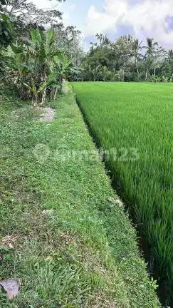 Lahan Premium Siap Bangun Lingkungan Villa di Jual di Ubud Bali
