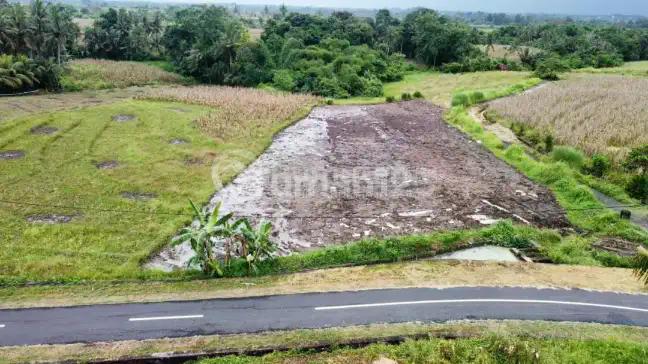 Lahan Premium Siap Bangun Zona Pink di Beraban Tabanan Bali
