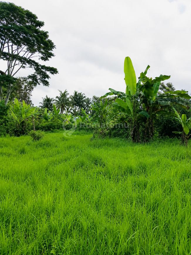 Lahan Premium Siap Bangun Lingkungan Villa di Jual di Ubud Bali