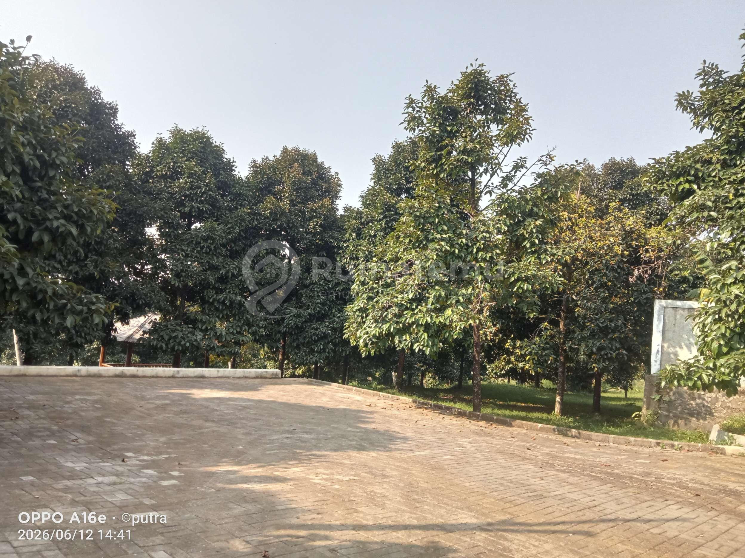 Dijual tanah di cijayanti Sentul Bogor 