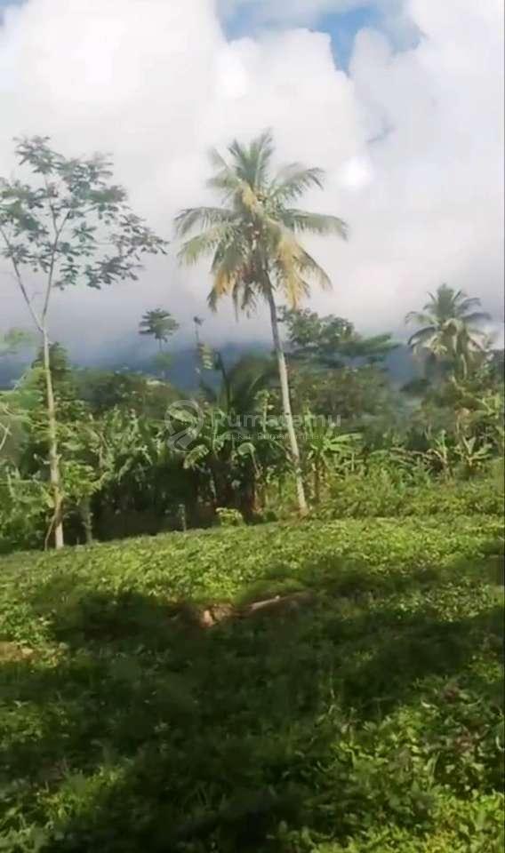 Dijual Tanah Cocok untuk Agrowisata atau Investasi Jangka Panjang di Cidahu Sukabumi