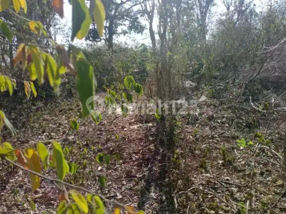Ready For Sale Premium Land In Balangan Badung Bali