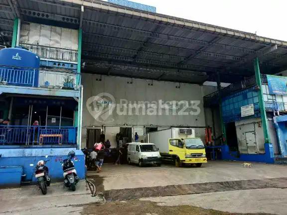 Cold Storage Muara Baru !! Kapasitas 2500 Mt Sertifikat Haccp, Sewa Hanya 360Jt/Bulan !!