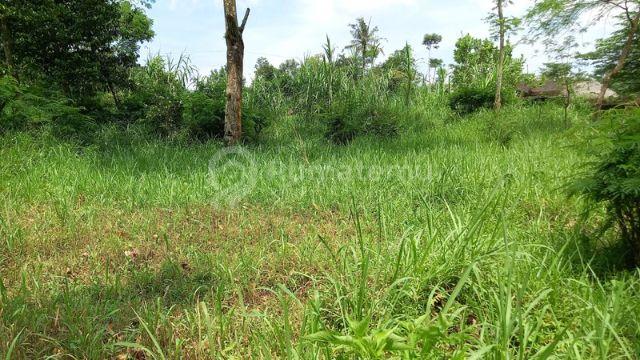 Lahan Potensial Cocok untuk Villa Lokasi Jalan Turgo - Pakem Sleman