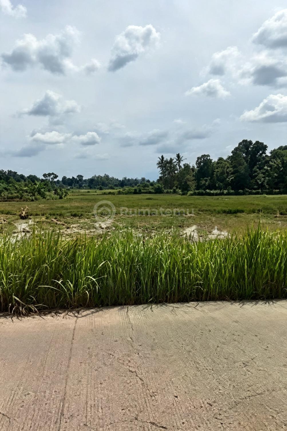 Tenjo Bogor-Kec Batok[Tanah]:Pinggir Jalan-Tenjo-20 Sd 200Ha-Perum