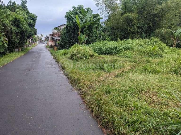Tanah Apik Tepi Jalan 895m² Lebar 22m SHM Trimulyo Sleman 150m Jl Raya Turi 3 Menit Jl Raya Magelang Jogja