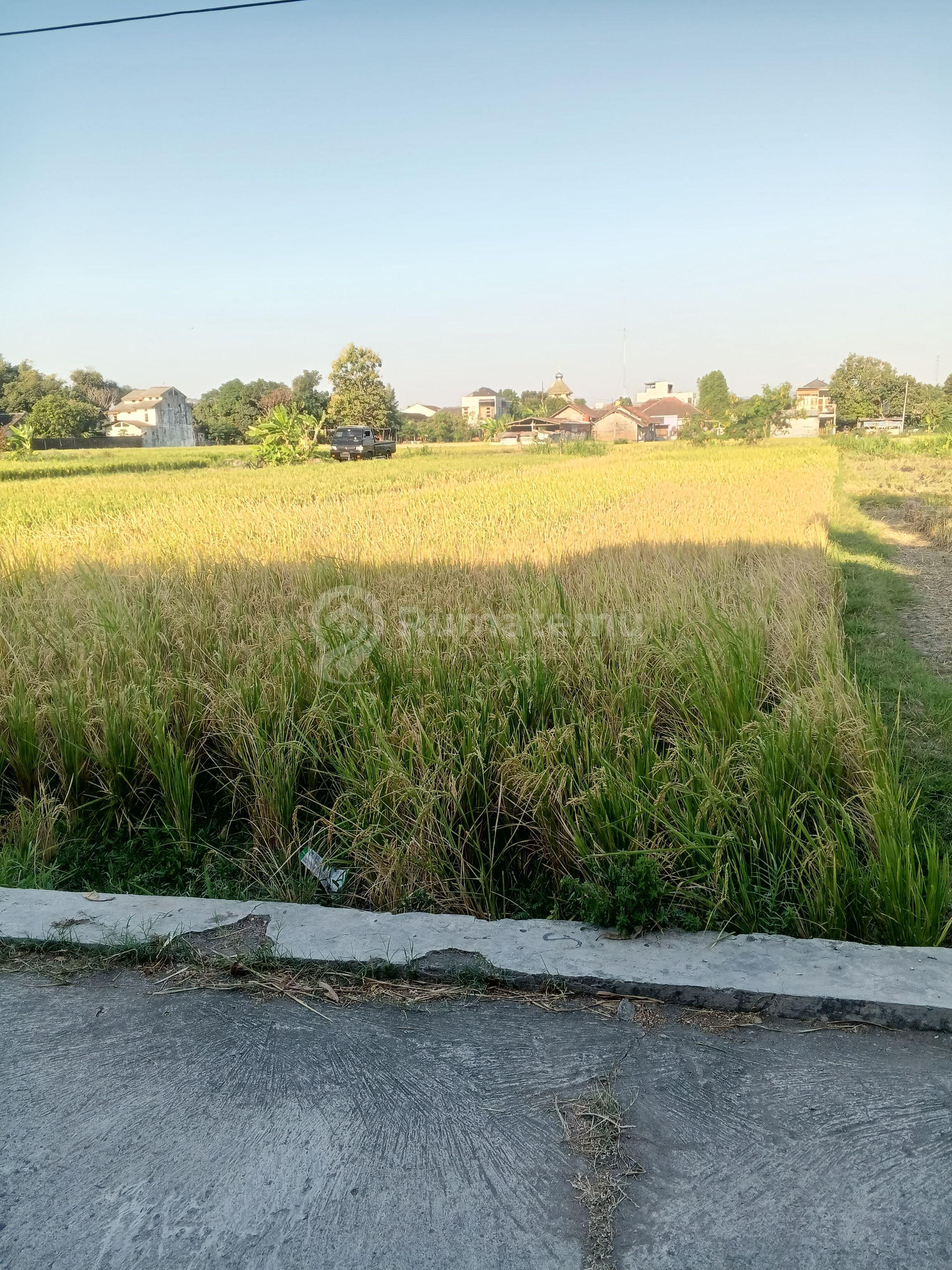 Dijual Tanah Pertanian Lokasi Strategis