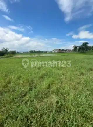 Tanah Potensial 1,5 Hektar di Jalan Raya Rancacatang Sapan Tegalluar Kec. Bojongsoang