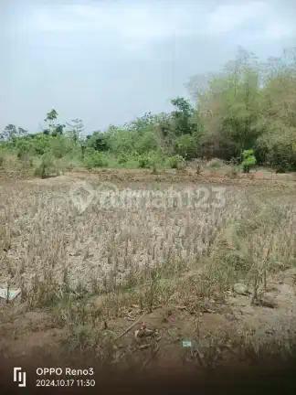 Subang- Exit Tol Kedawung - Zona Industri