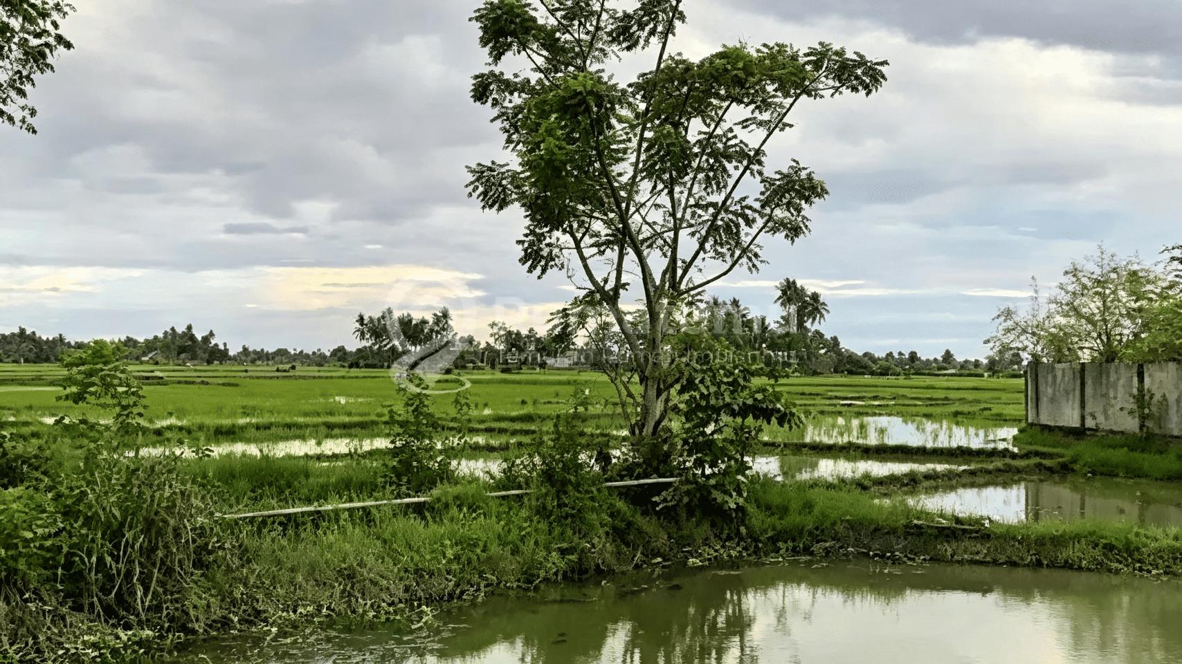 Jual BATIPUH PANJANG, KECAMATAN KOTO TANGAH, PADANG, SUMATERA BARAT