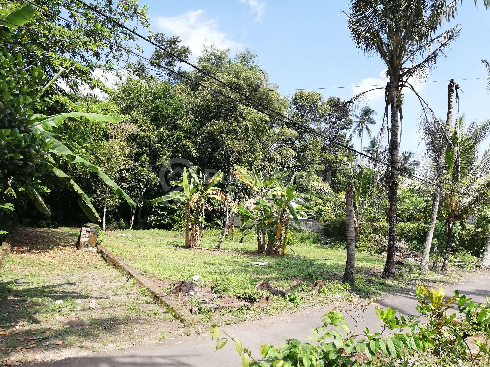 Tanah Apik Jl Kaliurang Km 13 Jangkang Widodomartani Ngemplak Sleman SHM 2 Menit Pasar Jangkang 10 Menit UII