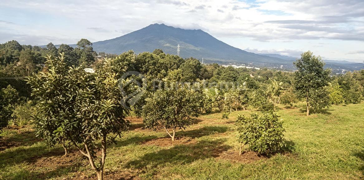 Dijual tanah di pasir angin gunung geulis dekat kopi nako Summarecon bogor