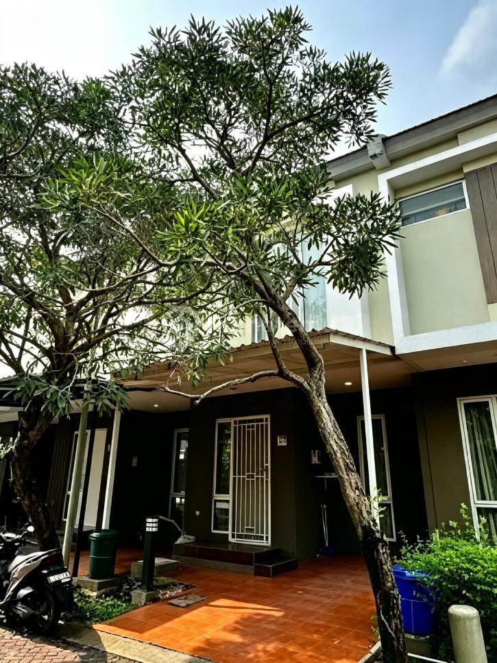 Disewakan Rumah di Malibu Village Gading Serpong
