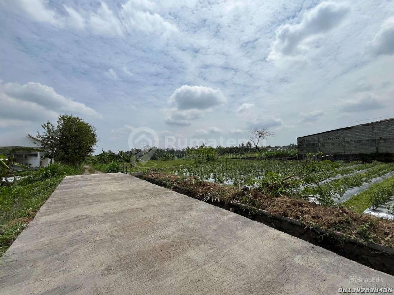 Tanah Jogja Asri View Sawah Jalan Utama Cocok Villa & Kos Eksklusif