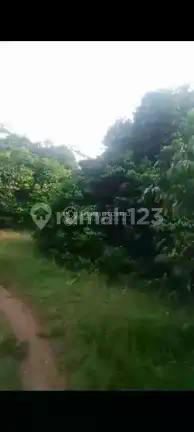 Subang Kawasan Industri :Kawasan Rebana 110HA- Dekat PT Vinfast