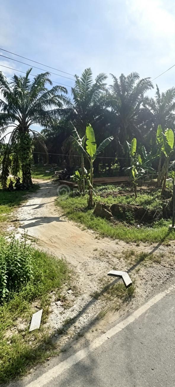 Dijual Murah! Tanah SHM Strategis & Prospektif