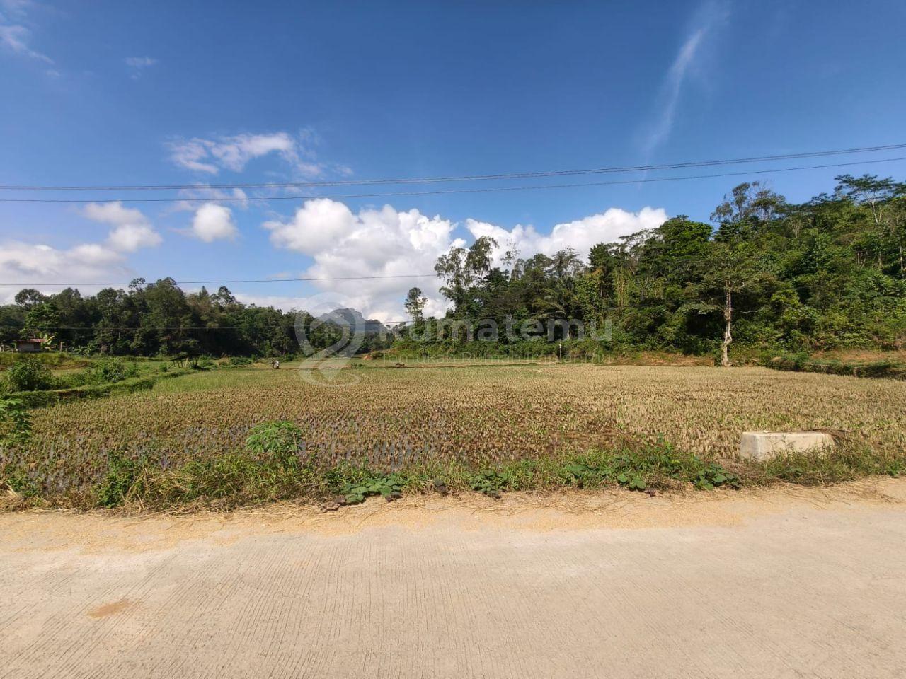Tanah Luas di Rantepao Toraja Utara – 3.898 m², Akses Jalan 2 Mobil, SHM On Hand