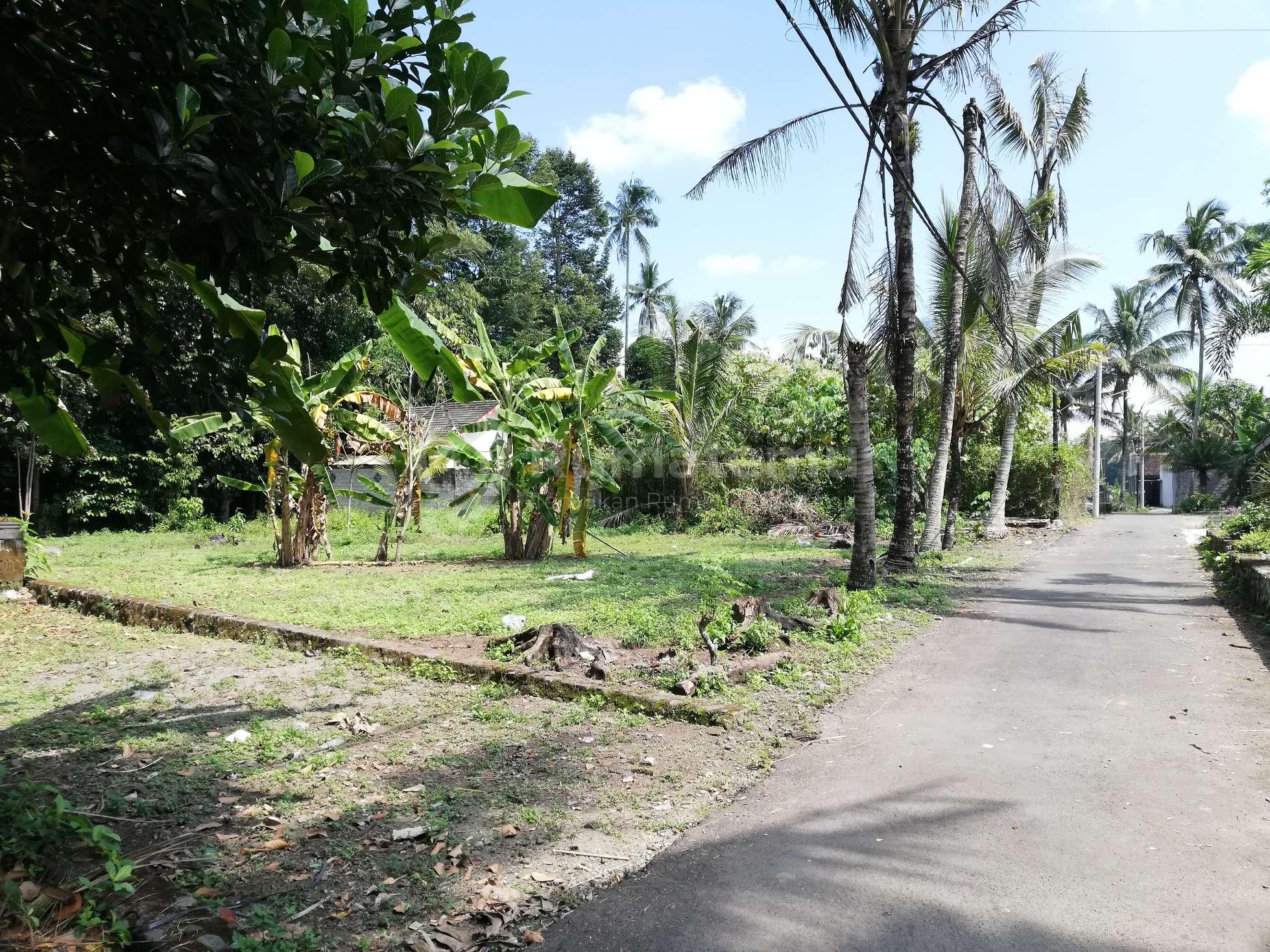 Tanah Apik Jl Kaliurang Km 13 Jangkang Widodomartani Ngemplak Sleman SHM 2 Menit Pasar Jangkang 10 Menit UII