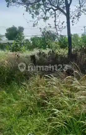 Cileles Kawasan Industri [Tanah]: Area Tigaraksa- Dekat Pabrik Lg