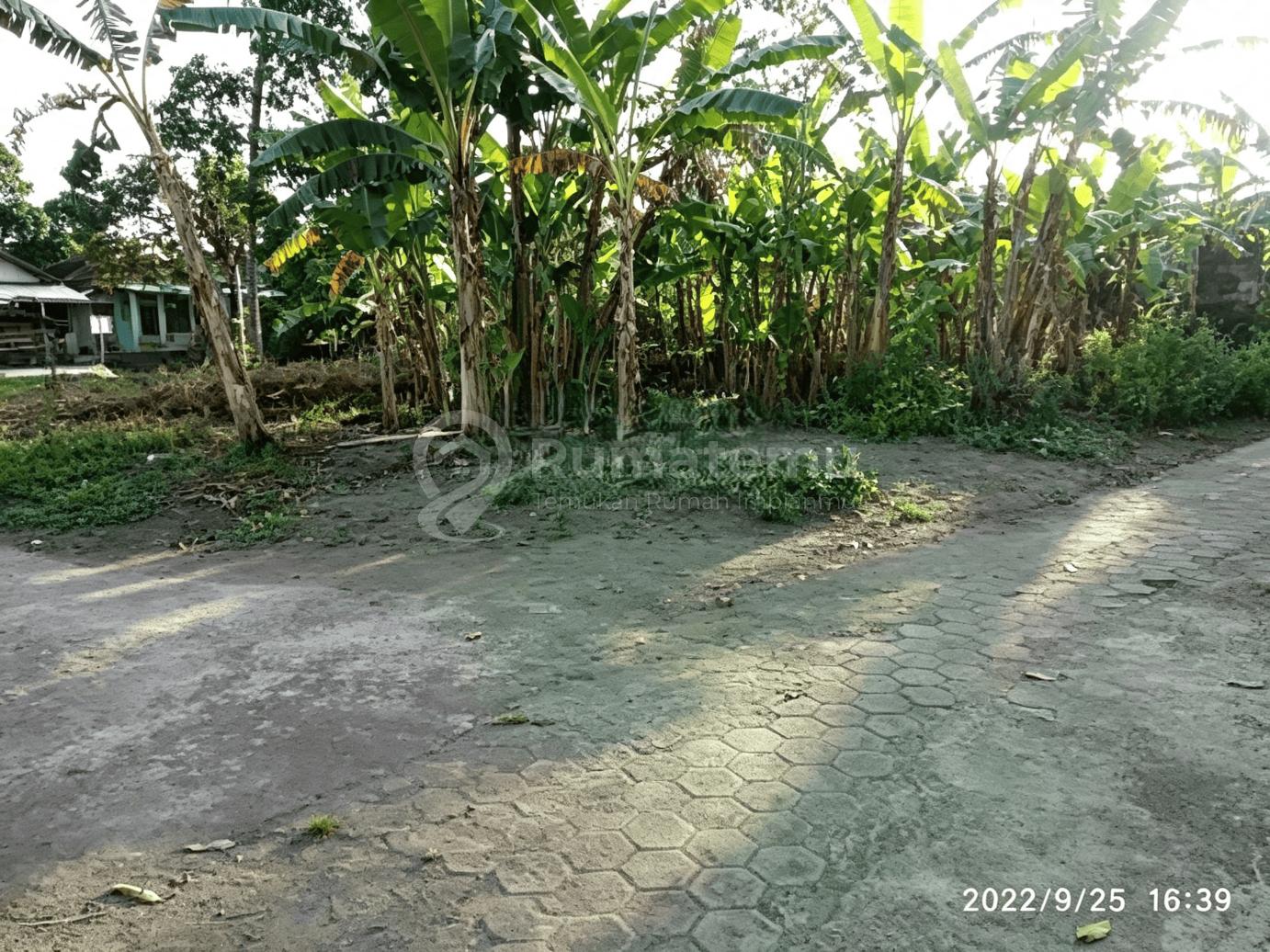 Dijual Tanah Dekat Gereja Ganjuran, Lt 452m2