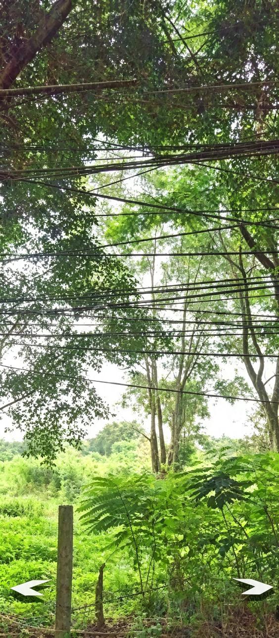 Disewakan Tanah Bambu Apus Jakarta Timur