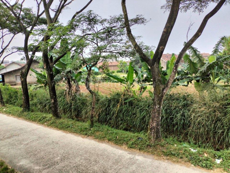 Dijual Tanah Ciodeng – Bojongmalaka, Baleendah