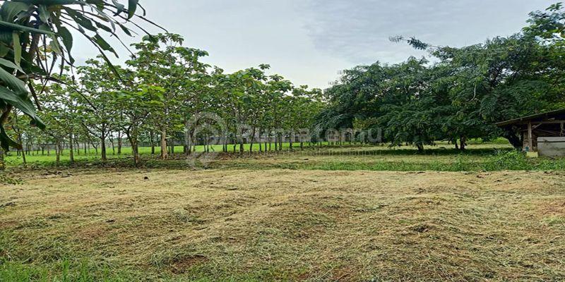 Tanah Siap Bangun Bentuk Kotak 9709 m2 SHM Untuk Residensial Dan Komersial  	di Kawasan Pertokoan dan Perdagangan Metro Trade Center Jalan Soekarno Hatta Bandung