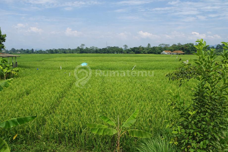 Sawah Produktif di Bandung Barat Murah Nego Cocok Untuk investasi