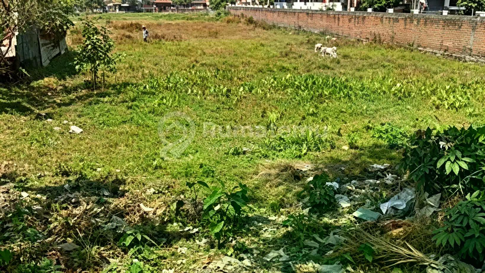 Tanah Dijual Belakang Luwes Mall, Gentan, Sukoharjo Lt 2010m2