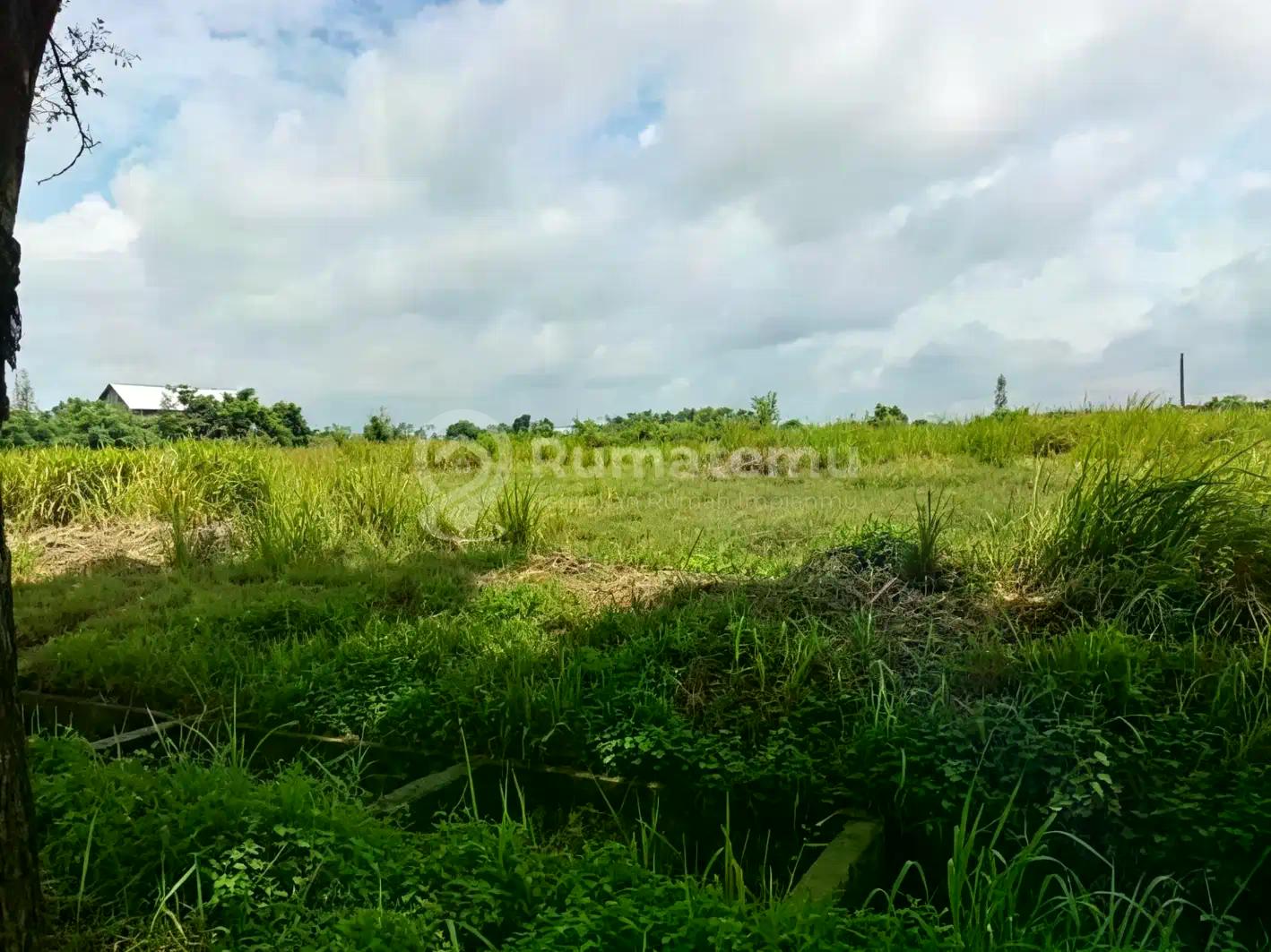 Tanah Kawasan Industri Modern Cikande 10ha Boleh Ambil 2ha