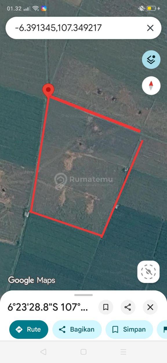 Sawah