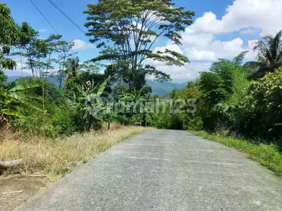 Dijual Tanah Luas, Murah di Kedungboto Kendal Jateng, Harga 195Ribuan/M2 (Nego)