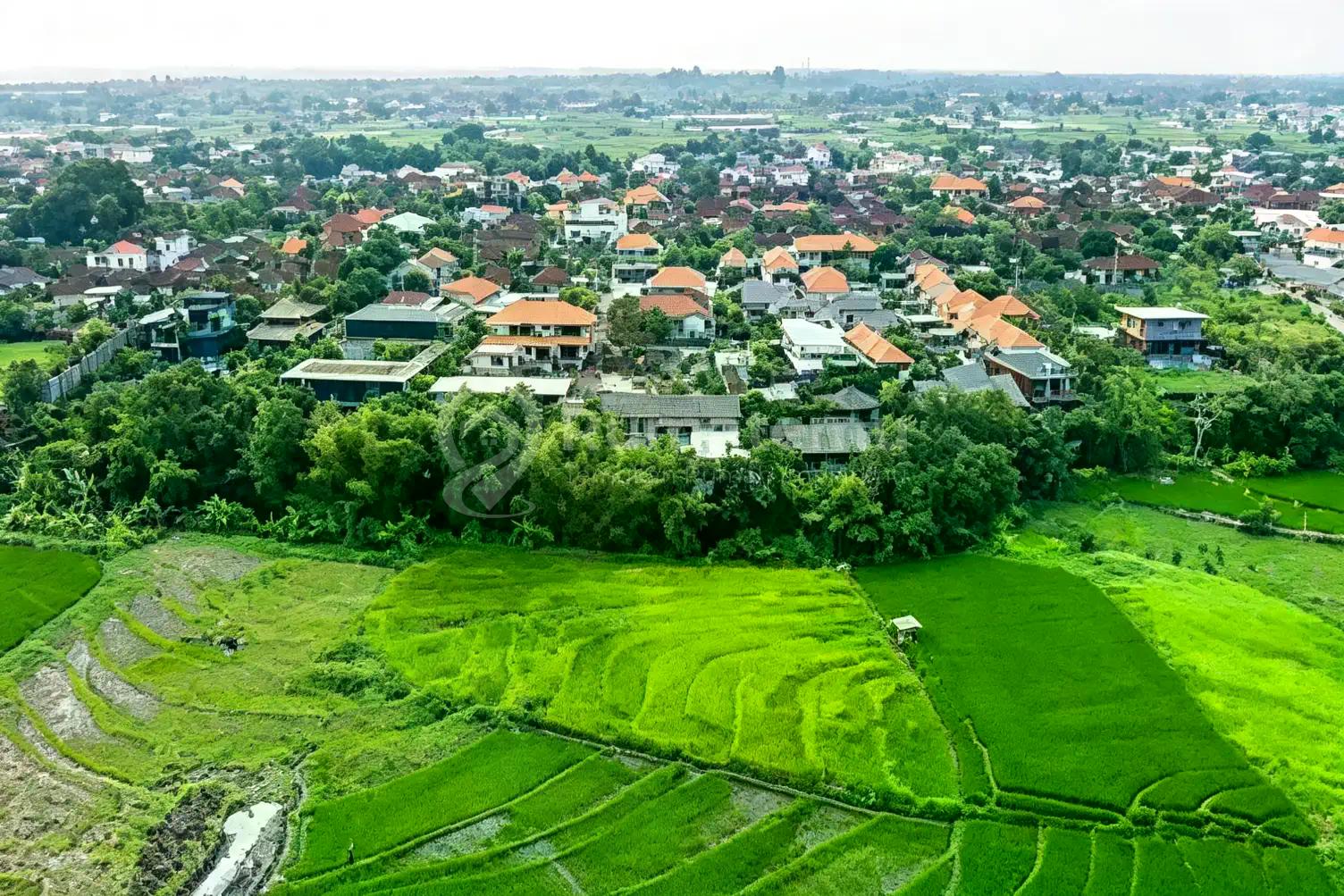 Ready For Sale Premium Land In Pererenan Bali