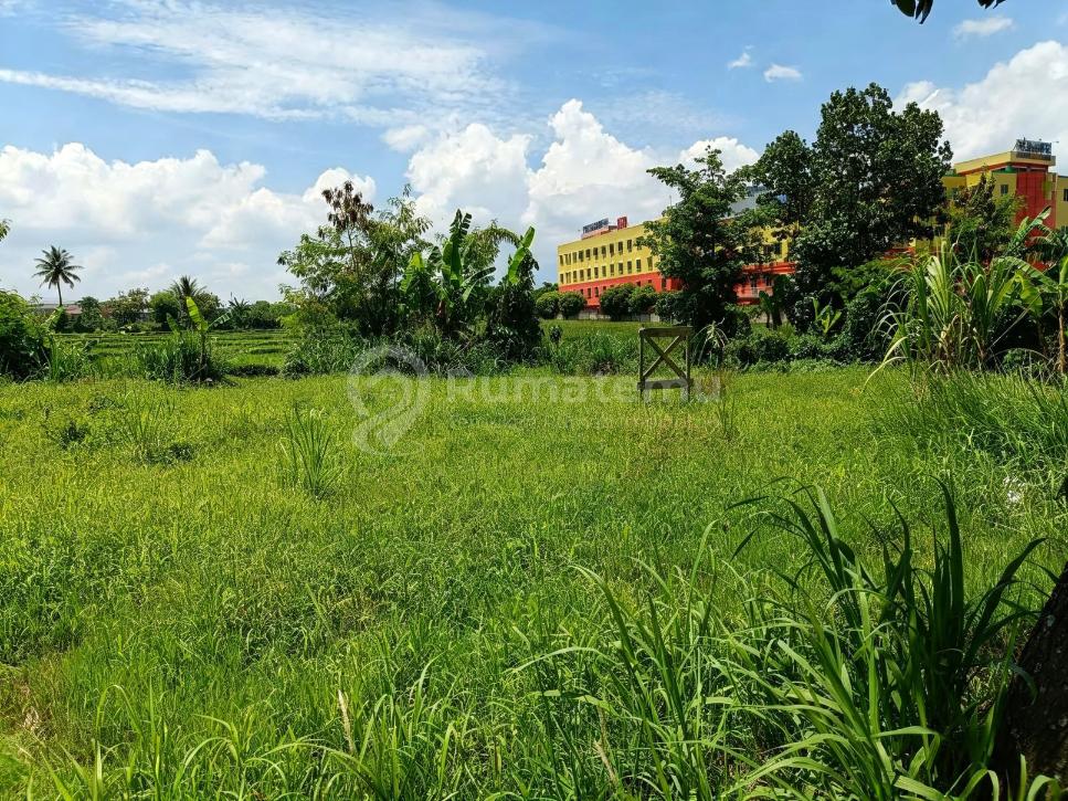 Dijual Tanah Golden Investment Tanah Sawah Lt 26.006 Rawabango Sebelah Rsdh Cianjur
