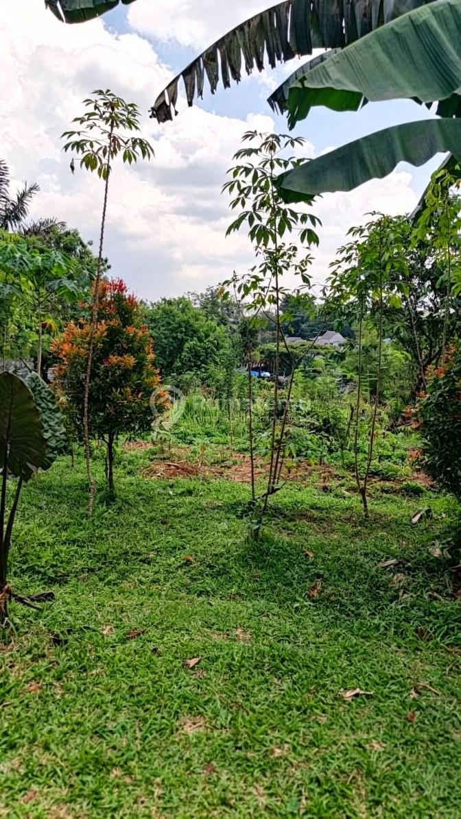 Kavling Sertifikat View Green Area di Sentul City