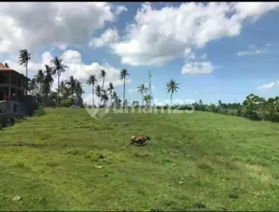 Ready For Sale Lahan Premium Los Pantai Siap Bangun