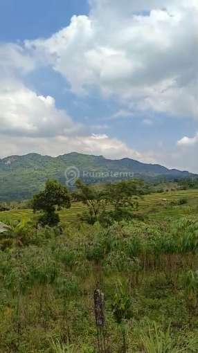 Dijual tanah di Pabuaran kec Sukamakmur bogor