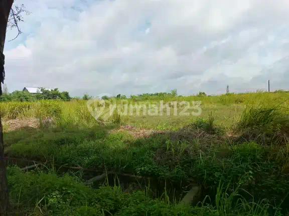 Tanah Kawasan Industri Modern Cikande 10ha Boleh Ambil 2ha