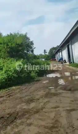 Cilincing Marunda[tanah]: Siap Bangun-tuk Hotel.apt.gudang-shm