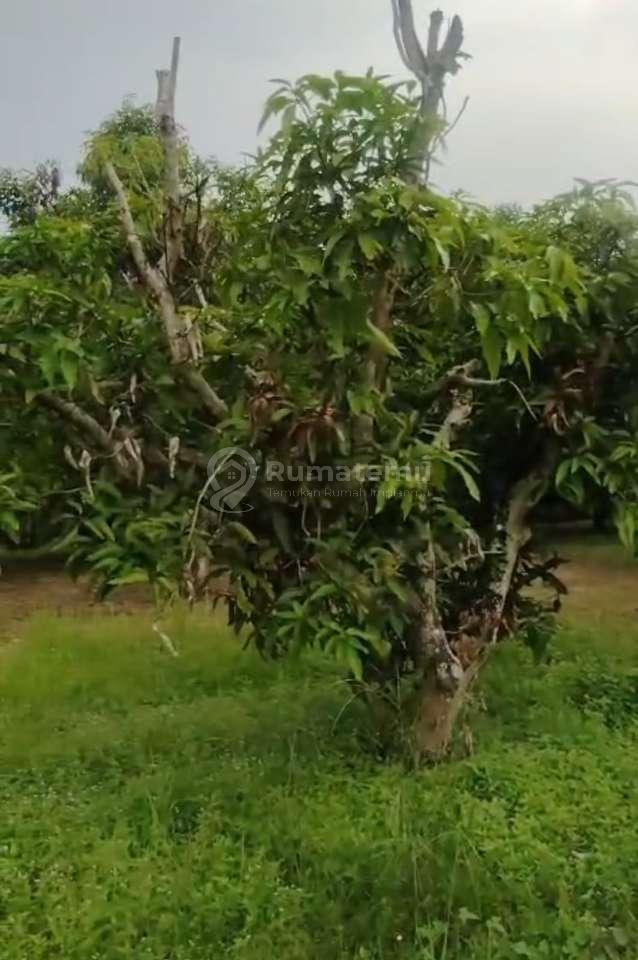 Raya Serang-Balaraja[Tanah] : 3,9Ha-Akses Container