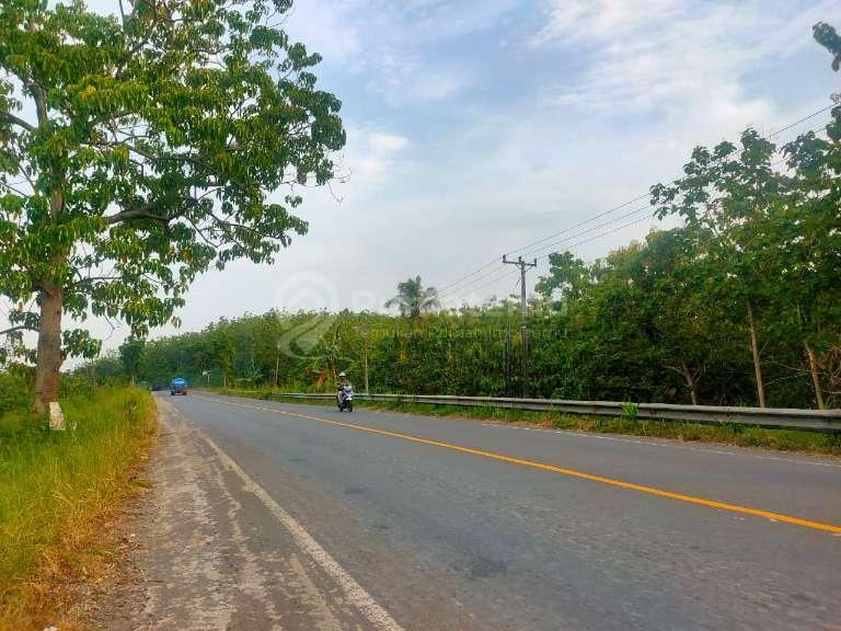 Dijual Tanah di Jl. Lintas Sumatera, Sukabanjar, Kec. Sidomulyo, Talang Baru, Lampung Selatan
