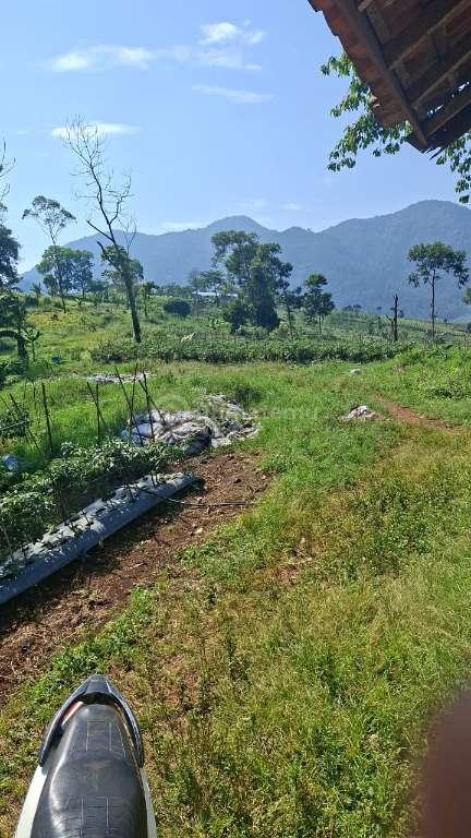 Tanah cocok utk peternakan unggas di cijapati cicalengka bandung
