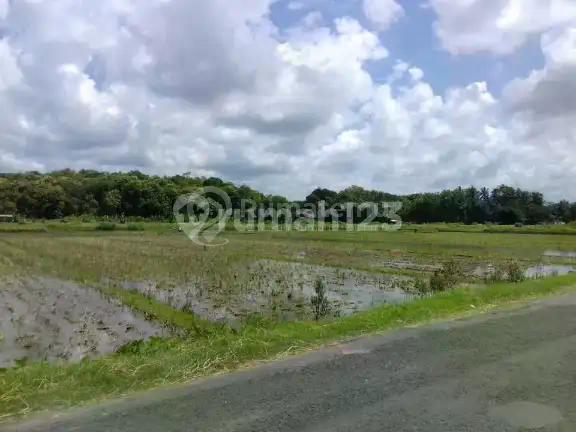 Tanah Sawah Dijual, Sangat Dekat ke Pasar Brosot, Lt 1.126M2