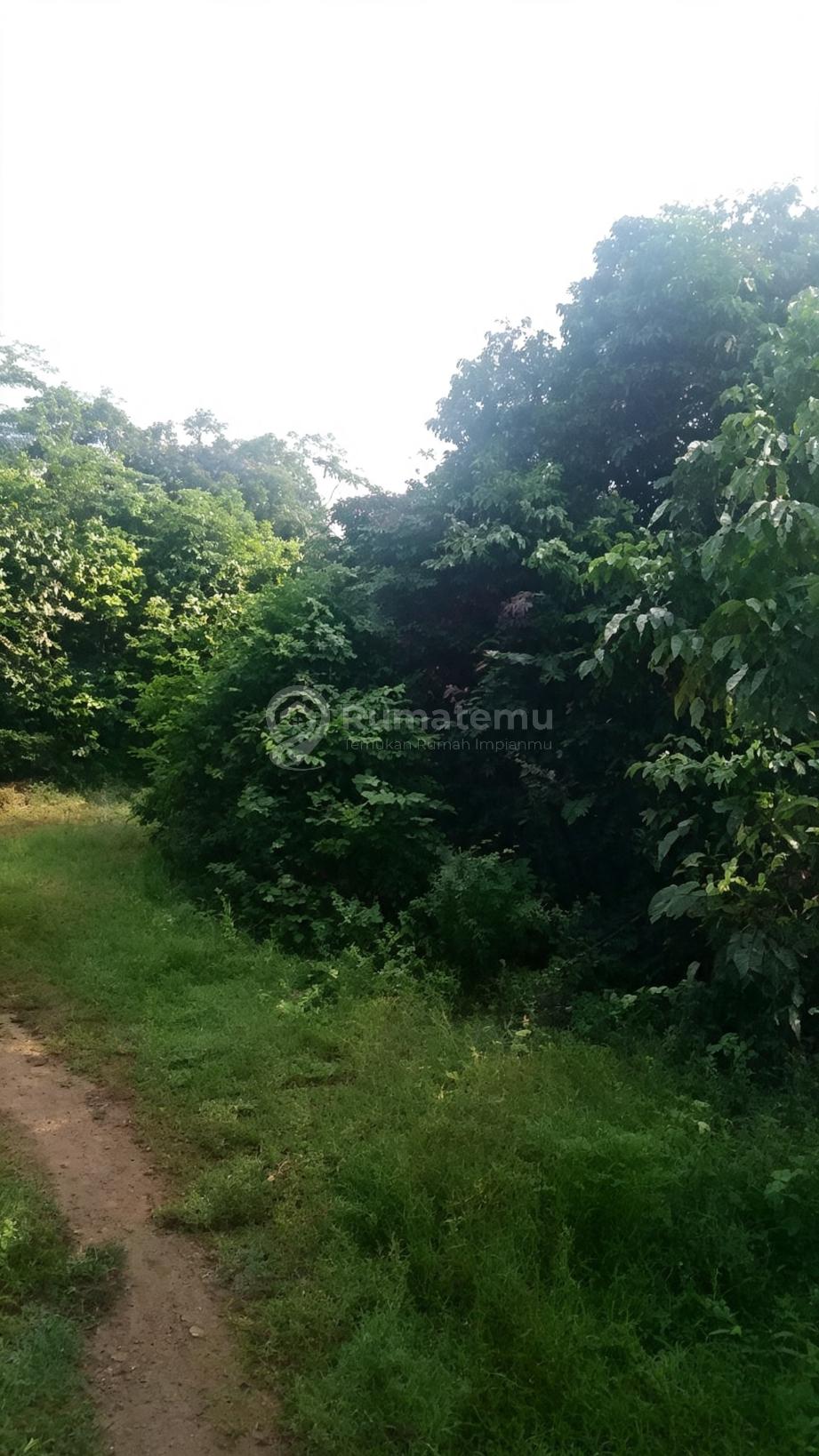 Subang Kawasan Industri :Kawasan Rebana 110HA- Dekat PT Vinfast