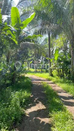 Dijual Tanah di Gang Asyifa Pabuaran Gunung Sindur