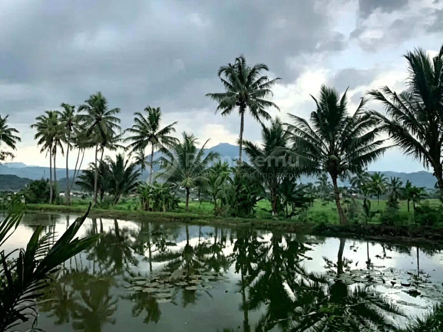 Kolam Ikan Untuk Usaha Ternak Ikan Di Leles Garut