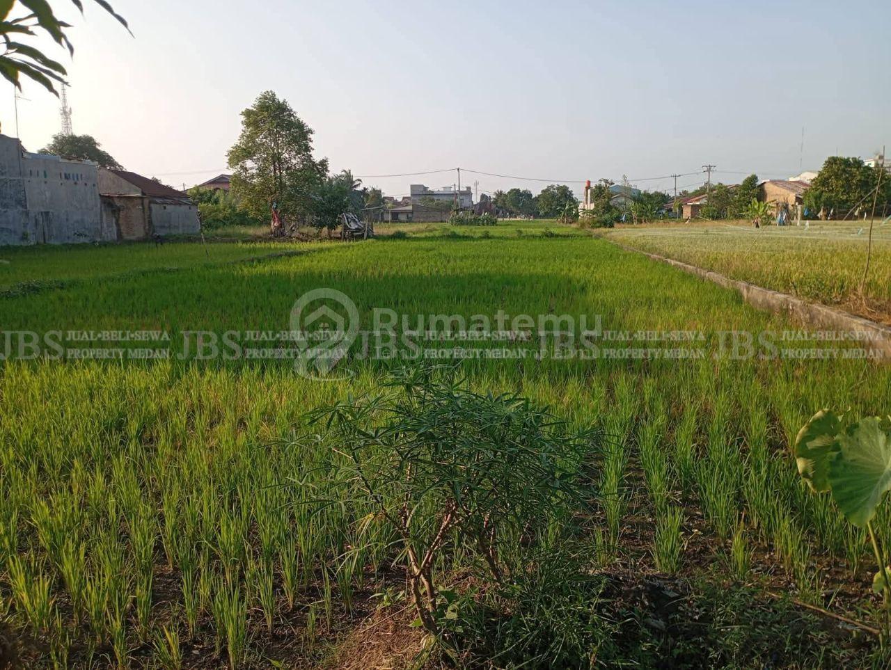 Dijual Tanah di Daerah Lau Dendang Jalan Sukarela Timur/Jalan Surya Haji