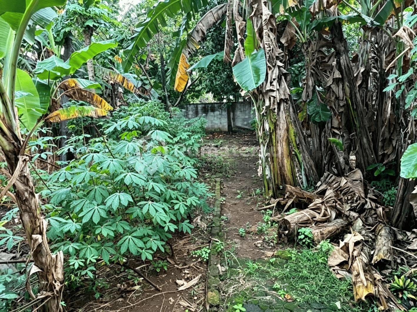Dijual Cepat! Rumah Lama Hitung Tanah Luas 965 M2 di Jatimelati, Bekasi